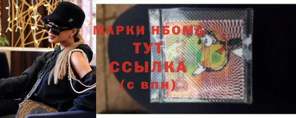 мдпв Ладушкин