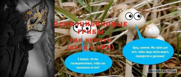 мдпв Ладушкин