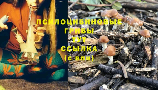 MESCALINE Лабытнанги