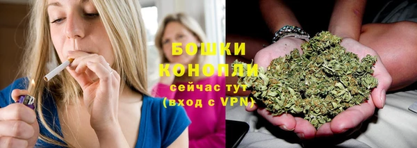 мдпв Ладушкин