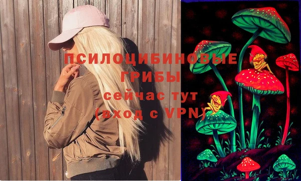 твердый Липки